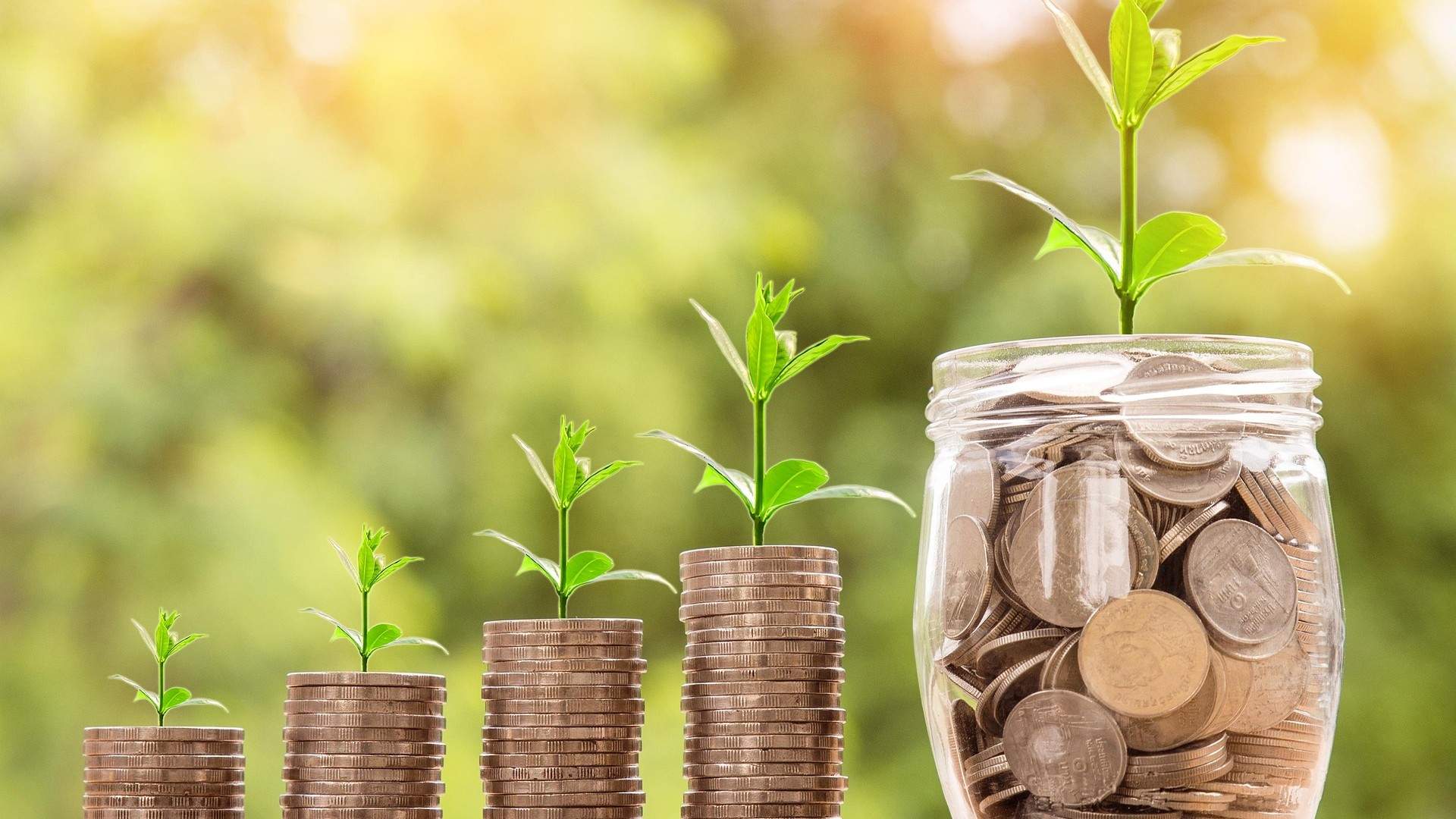 A picture of some piles of coins and some coins in a jar, with green shoots emerging from the top