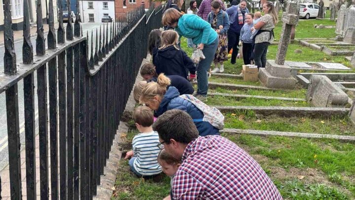 A picture of families planting daffodil bulbs in the churchyard after the Harvest Festival service