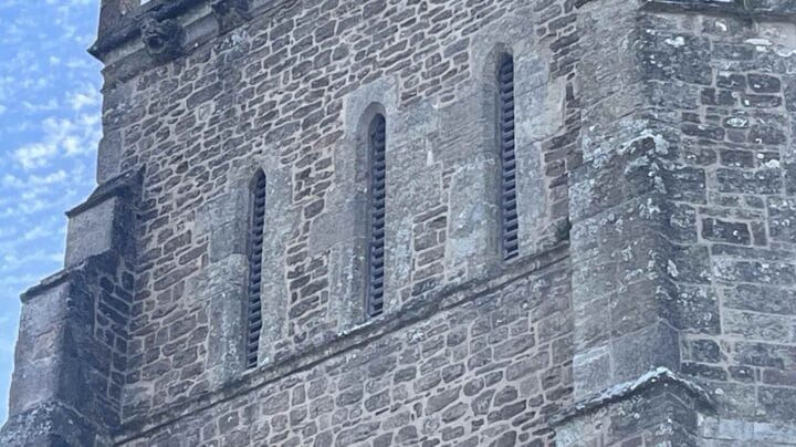 A picture of the louvre windows on the west face of the south tower at Ottery Church. Behind the louvres, swift nesting chambers are installed